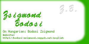 zsigmond bodosi business card